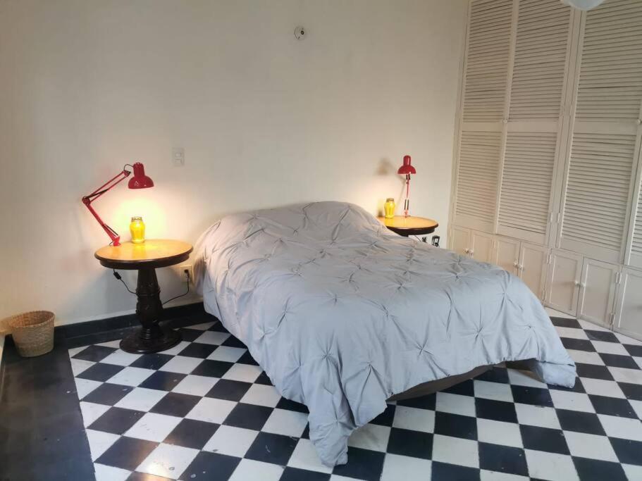 Porfirian House In Roma Norte Hébergement de vacances